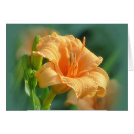 Bertie Blooms - Daylily Hälsningskort