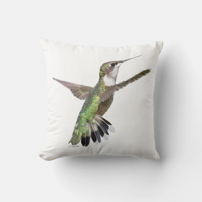 Berylline hummingbird kudde (Framsida)