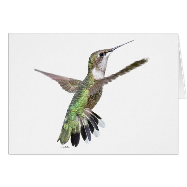 Berylline Hummingbird Painting Hälsningskort (Framsidan Horizontal)