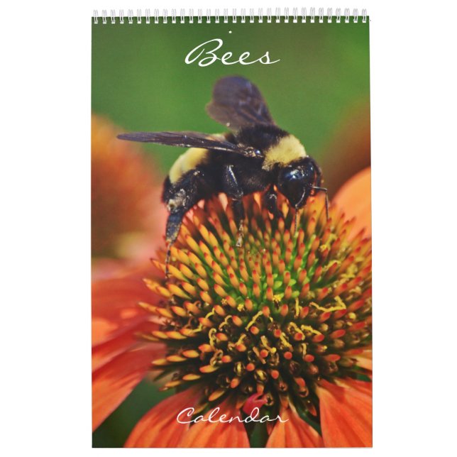 Bes Calendar Bee Kärlek Kalender (Omslag)