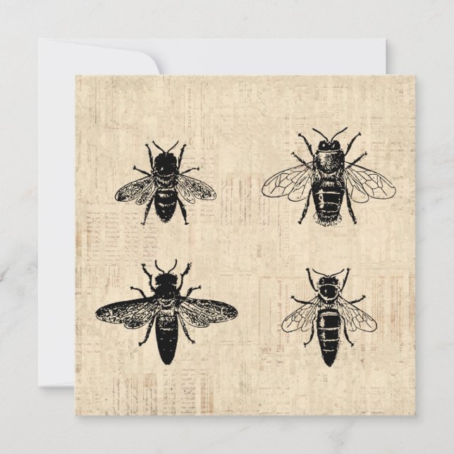 Bes Illustration Antique Bee Art Vintage Design Inbjudningar (Framsida)