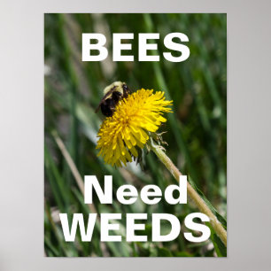 Bes Need Ogräs Poster