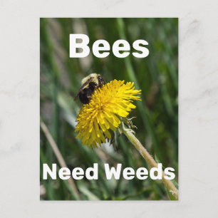 Bes Need Ogräs Vykort