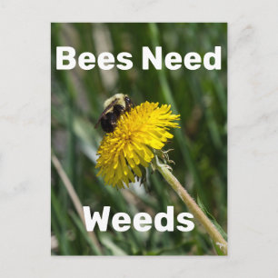 Bes Need Ogräs Vykort