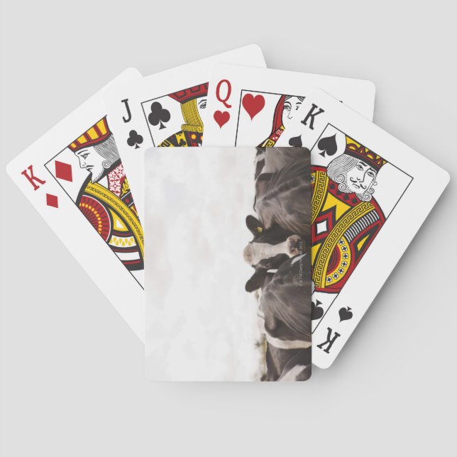 Besättning av nötkreatur och omkastning av himlar  kortlek (Baksidan)