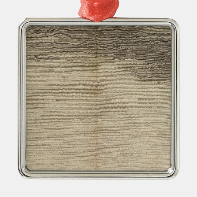 Besittningfjärd, södra Georgia Julgransprydnad Metall (Framsidan)