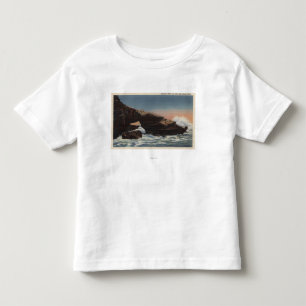 Beskåda av alligatorhuvudet, La Jolla Tee