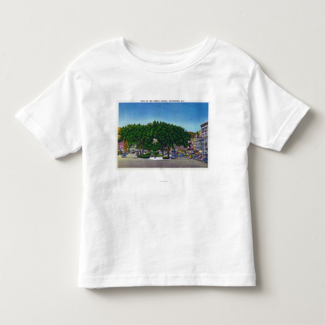 Beskåda av allmänheten kvadrerar nr. 2 tee shirt (Framsida)