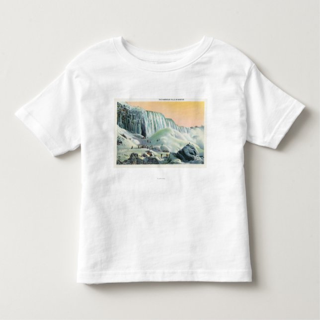 Beskåda av amerikannedgångar i vinter nr. 2 t-shirt (Framsida)