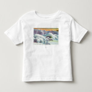 Beskåda av amerikannedgångar i vinter t shirt
