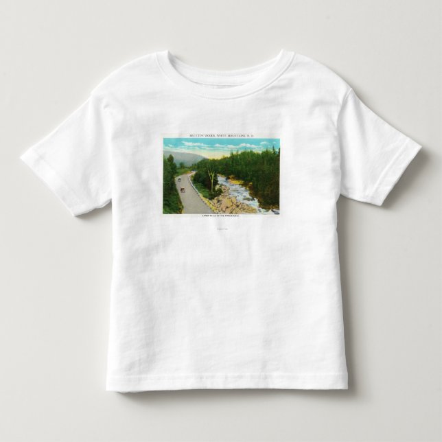Beskåda av Ammonoosuc de lägre nedgångarna T-shirt (Framsida)