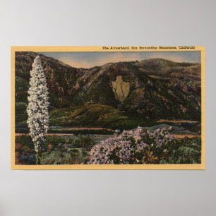 Beskåda av arrowheaden - San Bernardino Mts., CA Poster
