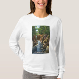 Beskåda av Ausable flodnedgångar och överbrygga T-shirt