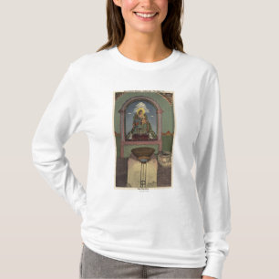 Beskåda av beskickningen & baptistryen t shirt