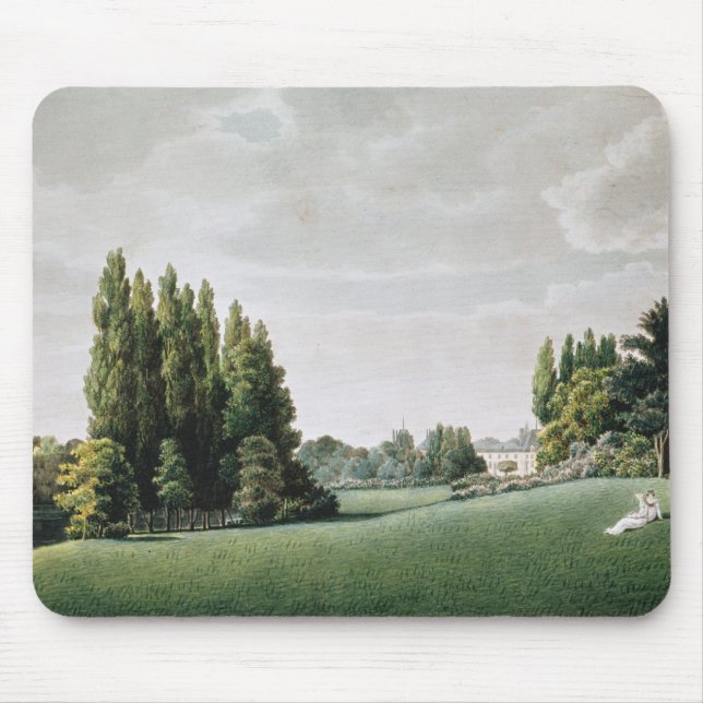 Beskåda av chateauen nära stenen överbryggar musmatta (Framsidan)