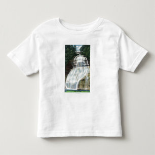 Beskåda av Chequagah nedgångar T Shirt