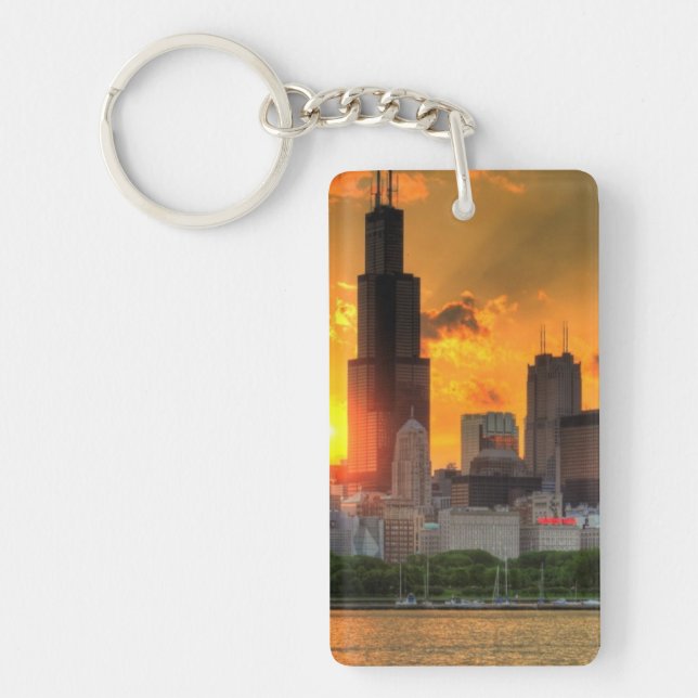 Beskåda av Chicago horisont från Adler (Framsidan)