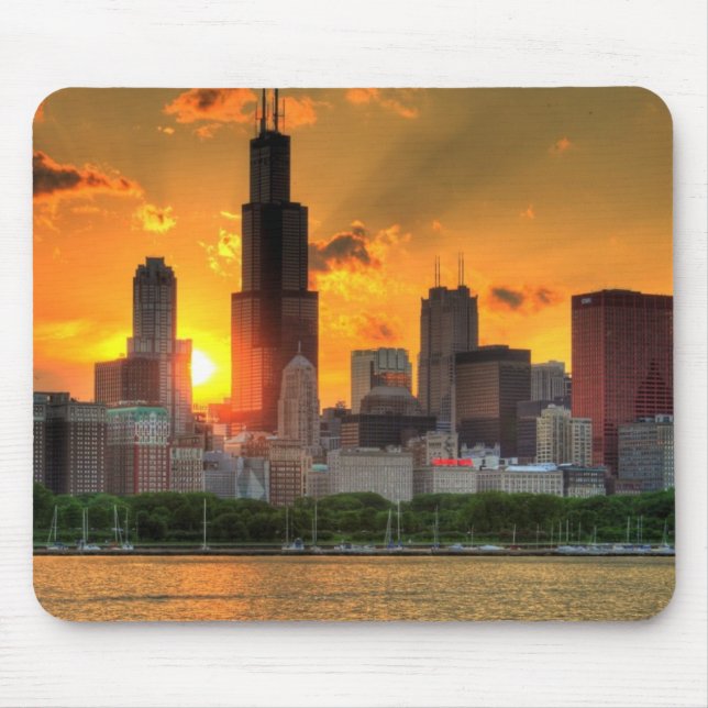 Beskåda av Chicago horisont från Adler Musmatta (Framsidan)