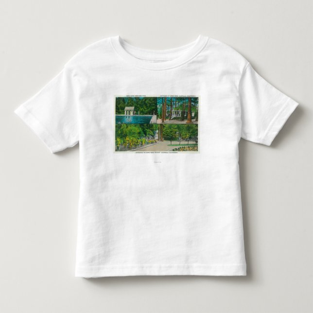 Beskåda av cragen beskådar ResortCastella, CA Tee Shirt (Framsida)