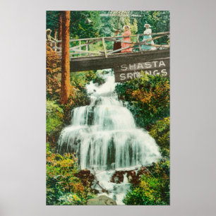 Beskåda av de lägre FallsShasta vårarna, CA Poster