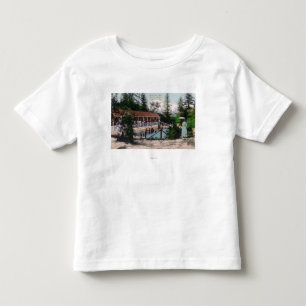 Beskåda av de simma PoolAdams vårarna, CA Tee Shirt