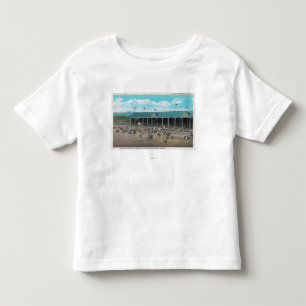 Beskåda av de sparka bakut tävlingarna t-shirt