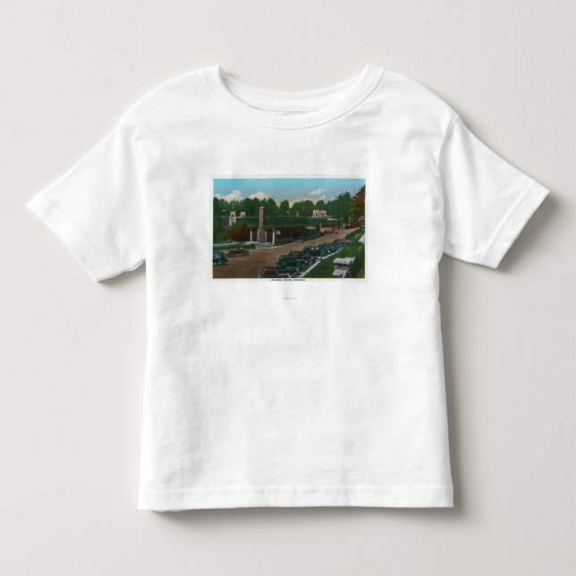 Beskåda av den Ausable svalgen hänrycker T-shirt (Framsida)
