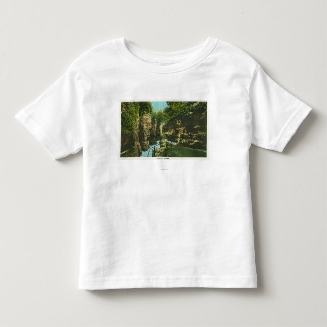 Beskåda av den Ausable svalgen Tee (Framsida)