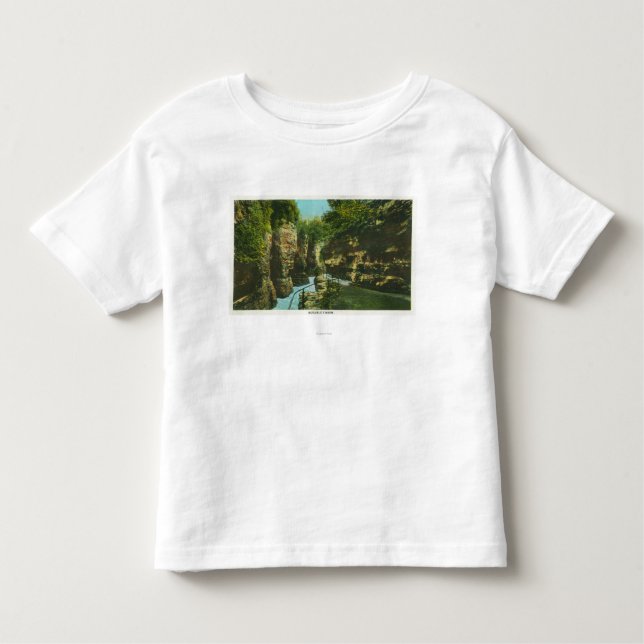 Beskåda av den Ausable svalgen Tee Shirt (Framsida)