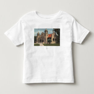 Beskåda av den Carnegie offentligt bibliotek T Shirt