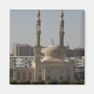Beskåda av den egyptiska kusten magnet