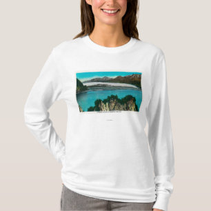 Beskåda av den Harding glaciären i Tee Shirt