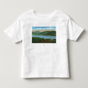 Beskåda av den indiska sjön och det snöig berg tee shirt