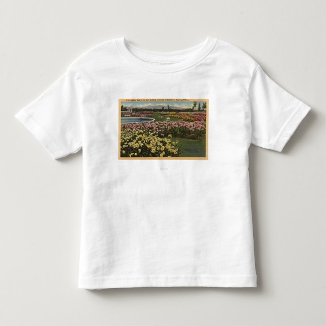 Beskåda av den kommunala roträdgården tee (Framsida)
