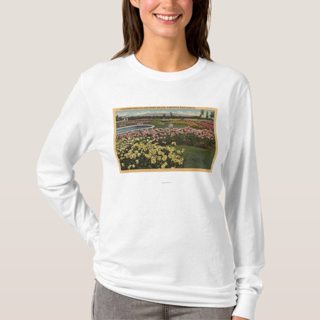 Beskåda av den kommunala roträdgården tee (Framsida)