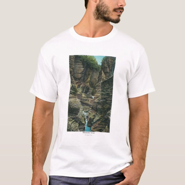 Beskåda av den Minnehaha klyftan Tee Shirt (Framsida)