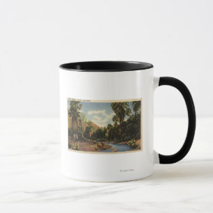 Beskåda av den Palm Spring kanjonen Mugg