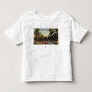 Beskåda av den Palm Spring kanjonen Tee