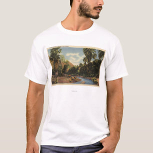 Beskåda av den Palm Spring kanjonen Tee Shirt