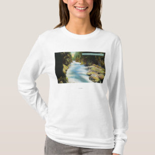 Beskåda av den Seymour kanjonen T Shirt