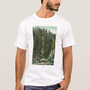 Beskåda av den Shasta kungen MineKennett, CA Tee