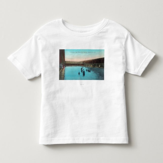 Beskåda av den simma TankBoyesen Hot Springs, CA Tee (Framsida)