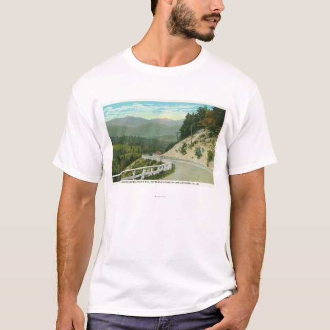Beskåda av den Spruce backen för den Keene dalen Tee Shirt (Framsida)