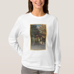 Beskåda av den St James episkopalkyrkan T-shirt