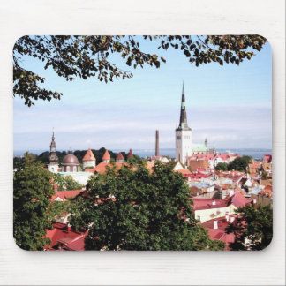 Beskåda av den Tallinn musen vadderar Musmatta