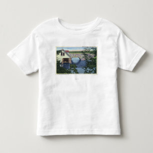 Beskåda av den tillbaka fjärden överbryggar t shirt