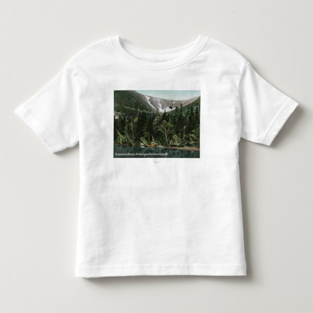 Beskåda av den Tuckermans ravinen, Mt. Washington T-shirt (Framsida)