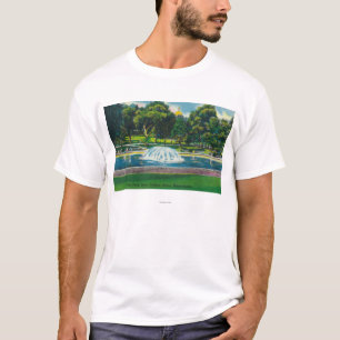 Beskåda av det Boston vanligt grodadamm Tee