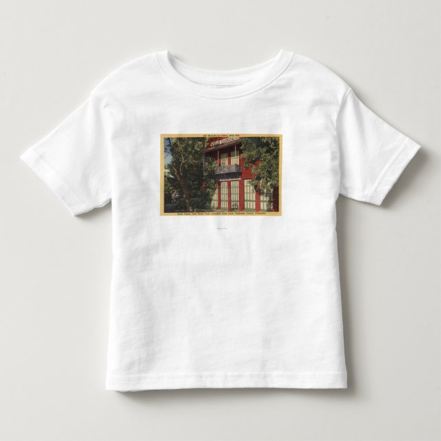 Beskåda av det gammala Wells Fargo kontoret (1855) T-shirt (Framsida)