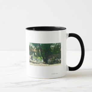 Beskåda av det Hot Springs damm Mugg
